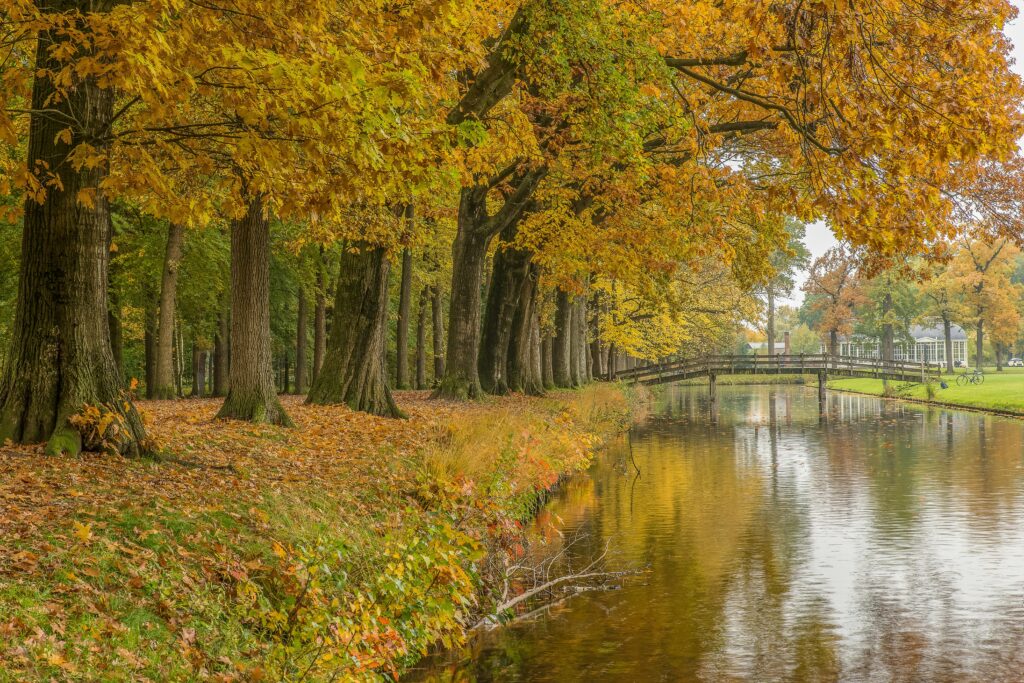 Gravenale Almelo